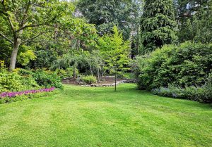 Optimiser l'expérience du jardin à Rupt-en-Woevre